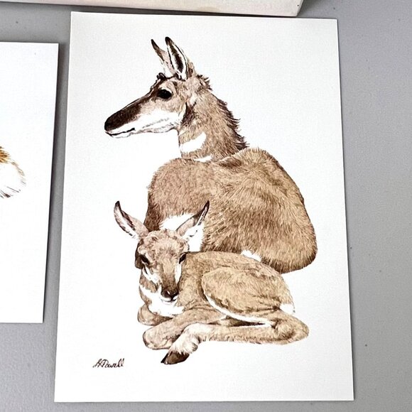 Vintage 1980's Current American Wildlife Ecology Set of 5 Blank Note Cards - Picture 6 of 9